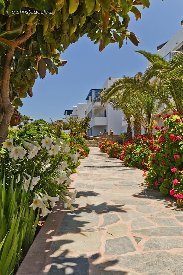 Aparthotel Chc Sound Of The Sea à Karpathos Extérieur photo